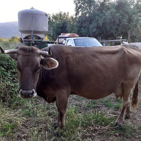 Agriturismo Codula Fuili Cala Gonone Eksteriør bilde