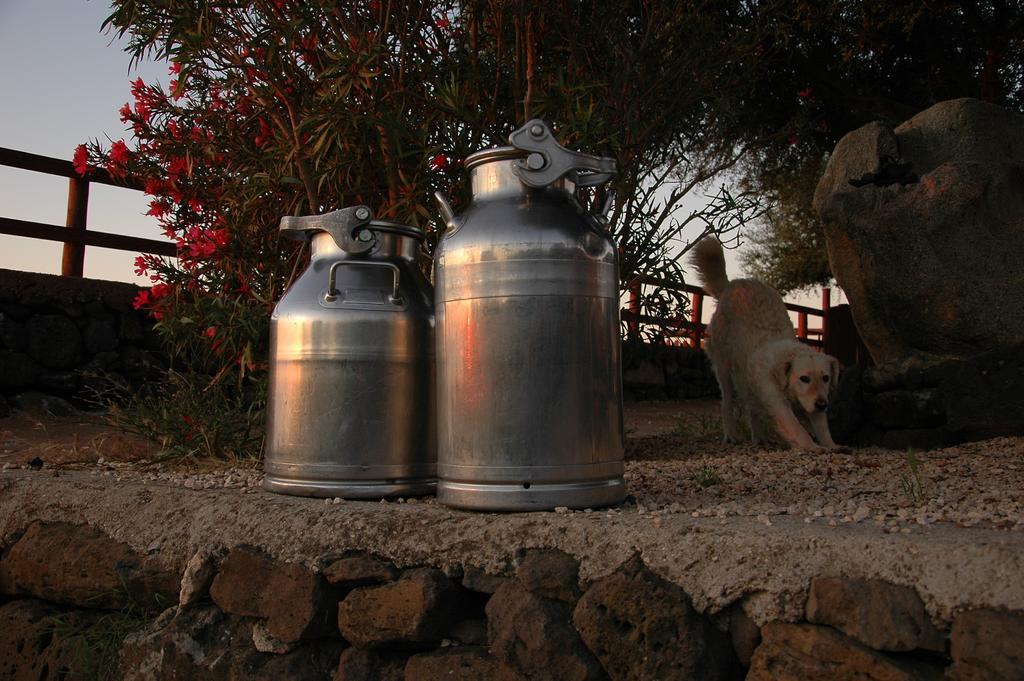 Agriturismo Codula Fuili Cala Gonone Eksteriør bilde