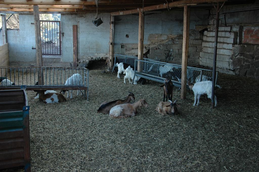 Agriturismo Codula Fuili Villa Cala Gonone Eksteriør bilde