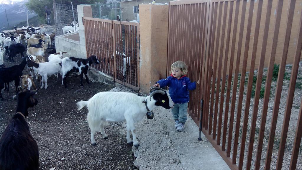 Agriturismo Codula Fuili Cala Gonone Eksteriør bilde