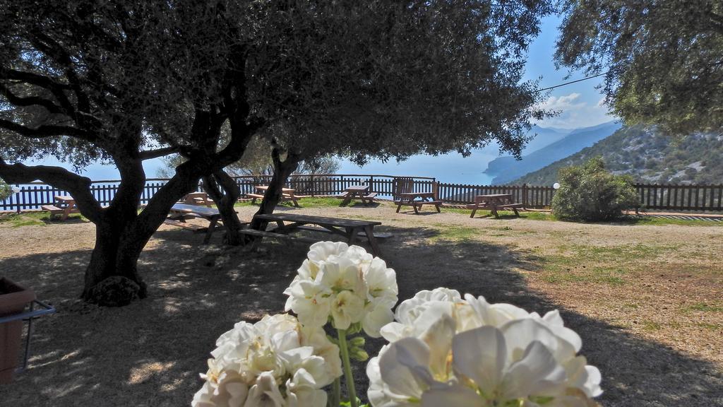 Agriturismo Codula Fuili Villa Cala Gonone Eksteriør bilde