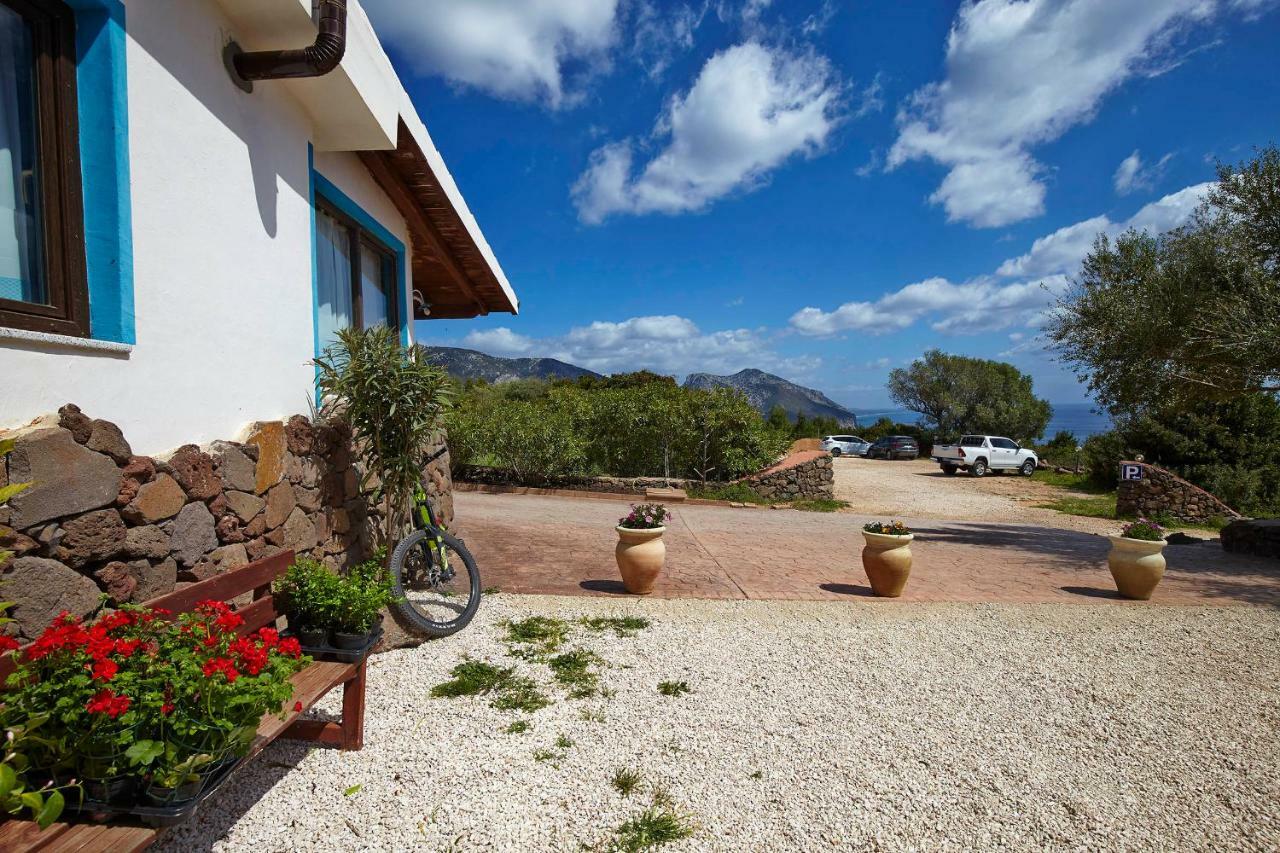 Agriturismo Codula Fuili Villa Cala Gonone Eksteriør bilde